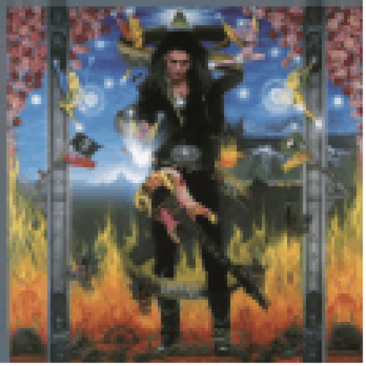 Passion & Warfare LP