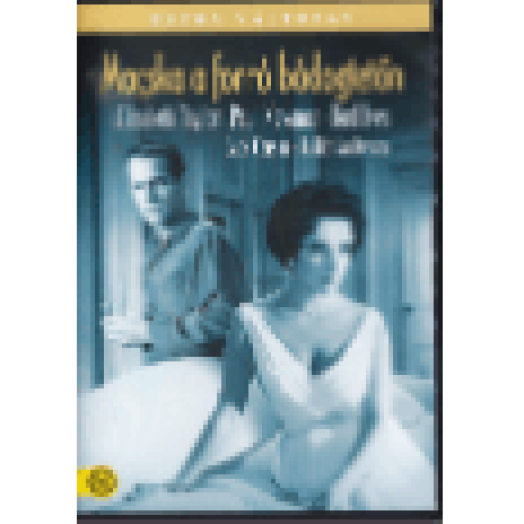 Macska a forró bádogtetőn DVD