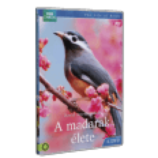 A madarak élete 4. DVD