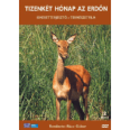 Tizenkét hónap az erdőn DVD