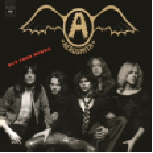 Get Your Wings LP