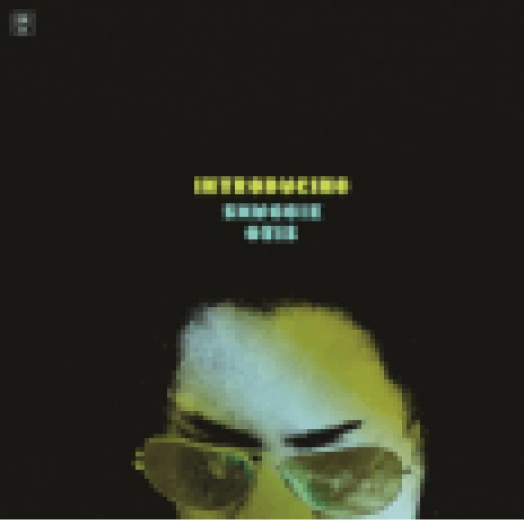 Introducing LP