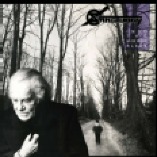 Into The Mirror Black LP