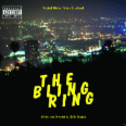 The Bling Ring (Lopom a sztárom) CD