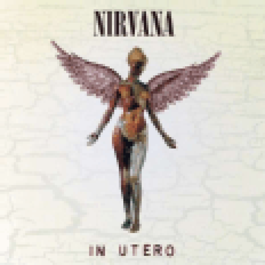 In Utero (20th Anniversary) (Deluxe Edition) CD