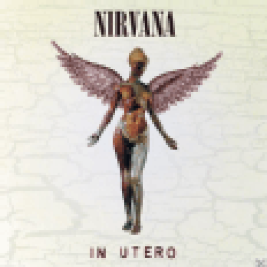 In Utero (20th Anniversary Edition) (Deluxe Edition) CD+DVD