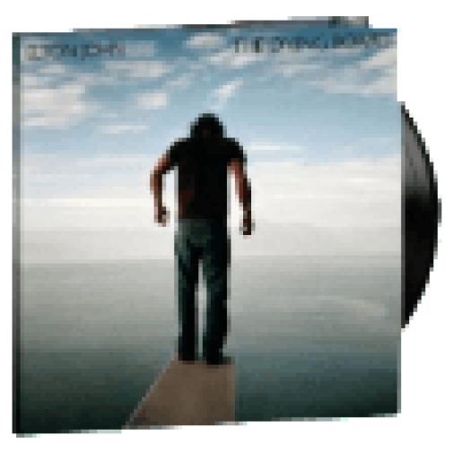 The Diving Board LP