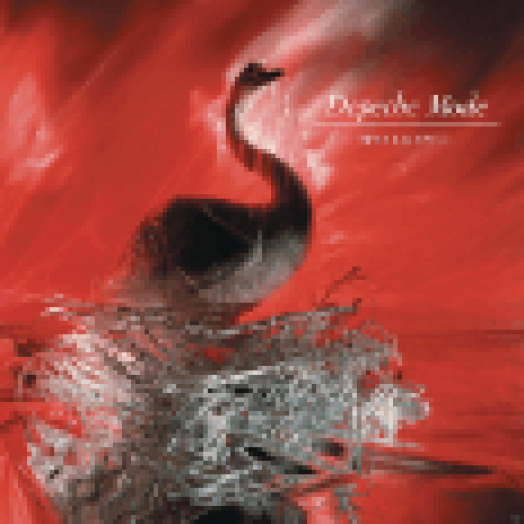 Speak & Spell CD+DVD