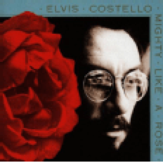 Mighty Like A Rose LP