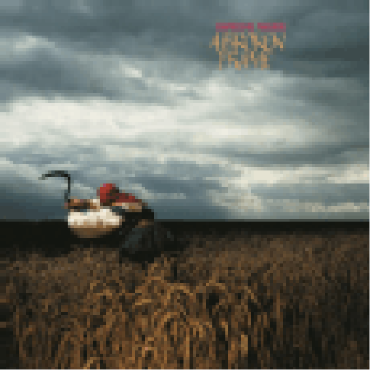A Broken Frame LP