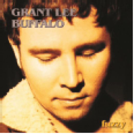 Fuzzy LP