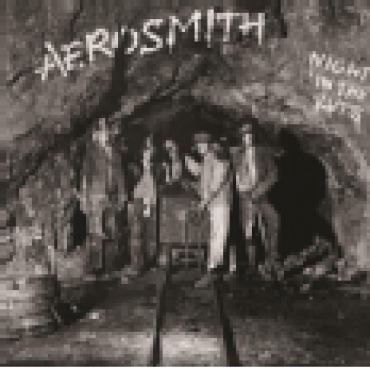 Night In The Ruts LP