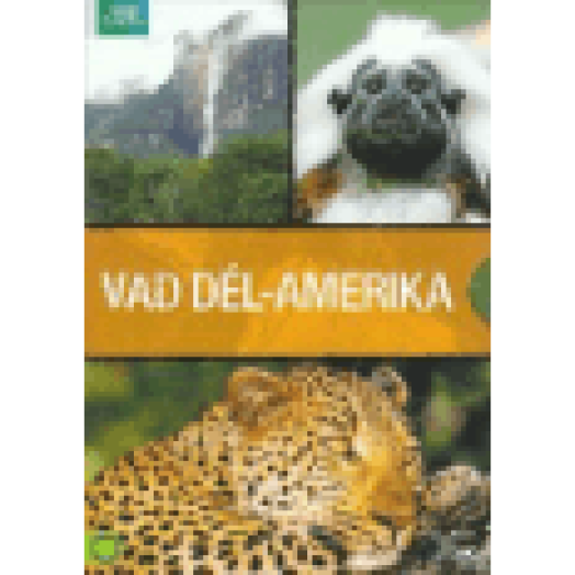 Vad Dél-Amerika (díszdoboz) DVD