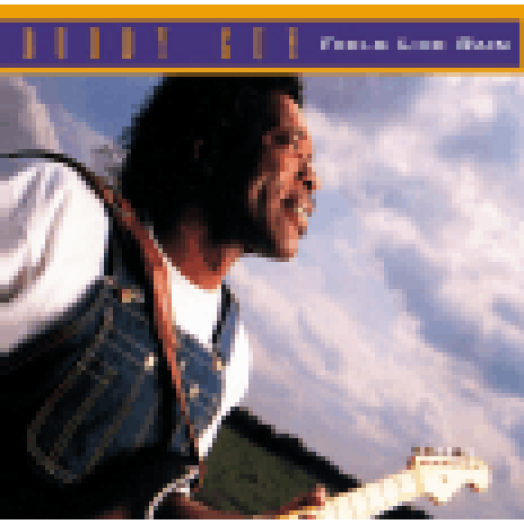 Feels Like Rain CD