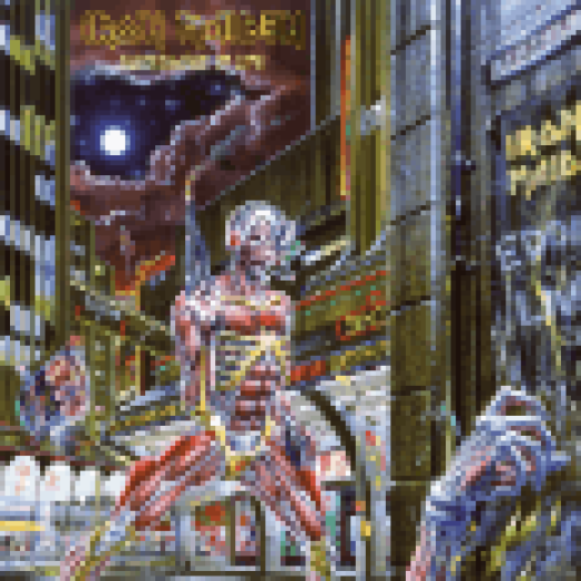Somewhere In Time LP