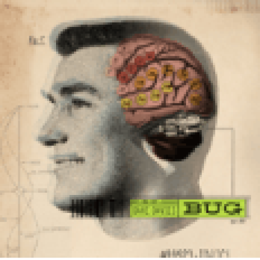 Bug CD