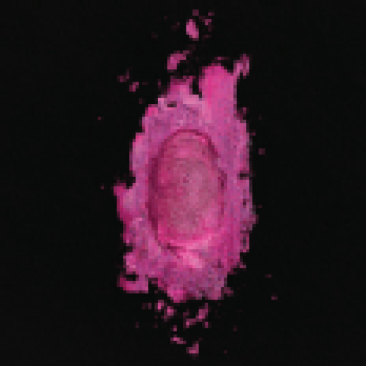 The Pinkprint CD