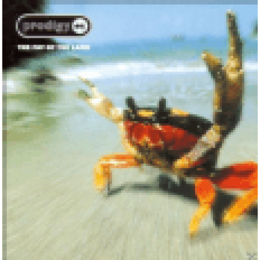 The Fat of the Land CD