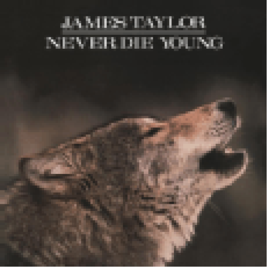 Never Die Young LP