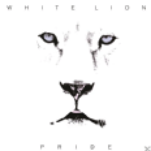 Pride LP