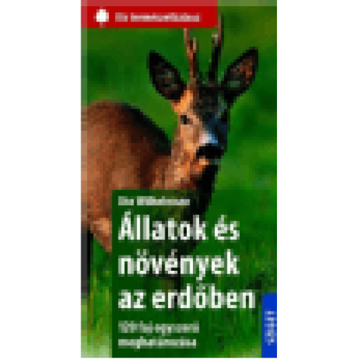 Állatok és növények az erdőben