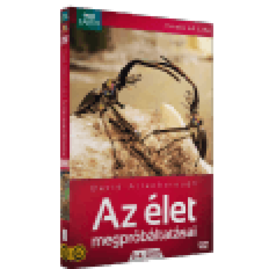 Az élet megpróbáltatásai 3-4. (díszdoboz) DVD