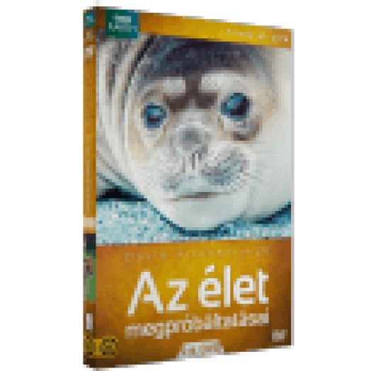 Az élet megpróbáltatásai 5-6. (díszdoboz) DVD
