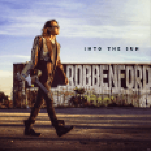 Into The Sun LP