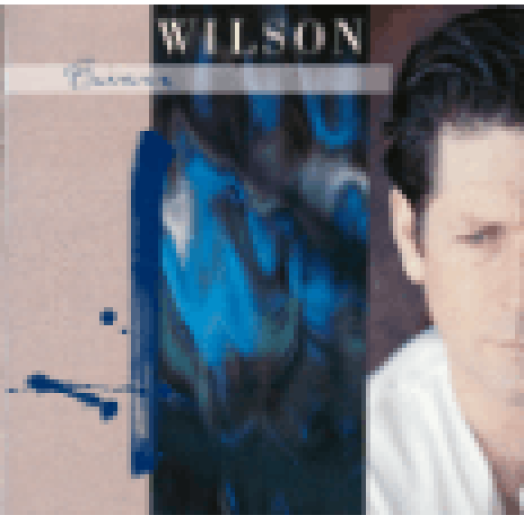 Brian Wilson (Expanded Edition) CD