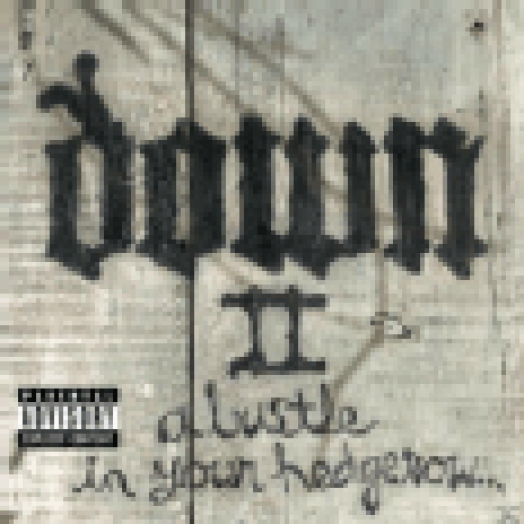 Down II - A bustle in your hedgerow LP