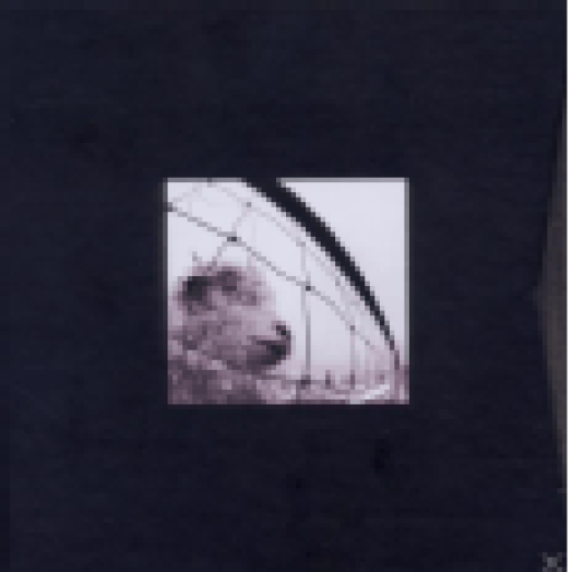 Vs. / Vitalogy / Live at the Orpheum Theater, Boston, April 12, 1994 (Deluxe Edition) CD