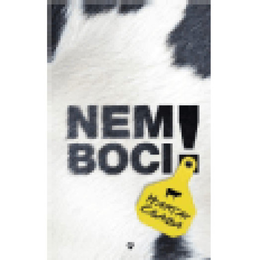 Nem boci!