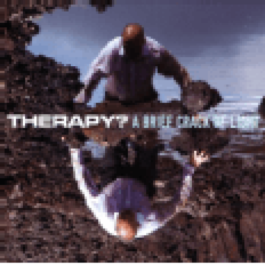 A Brief Crack of Light CD