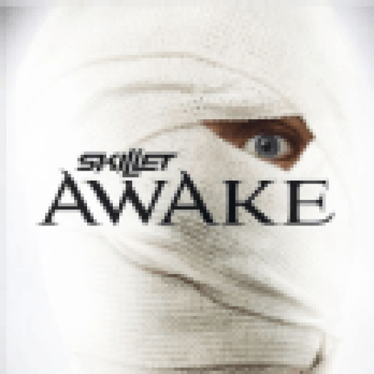 Awake LP