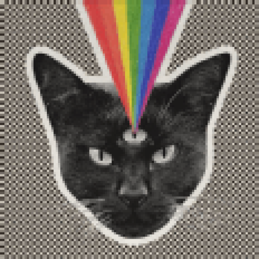 Black Cat CD