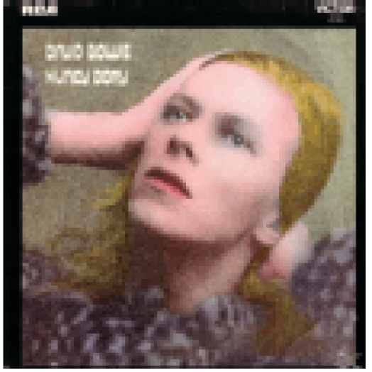 Hunky Dory CD