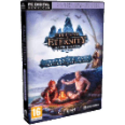 Pillars of Eternity: The White March Expansion Pass PC