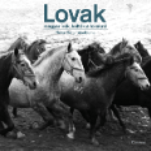 Lovak - Magyar írók, költők a lovakról