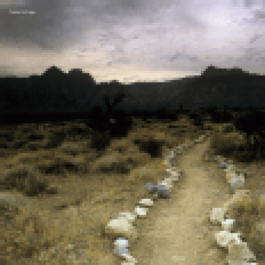 Follow (Limited Numbered Edition) LP