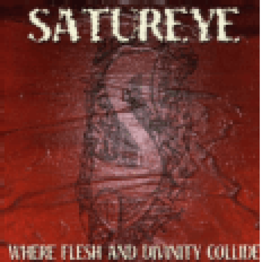 Where Flesh And Divinity Collide CD