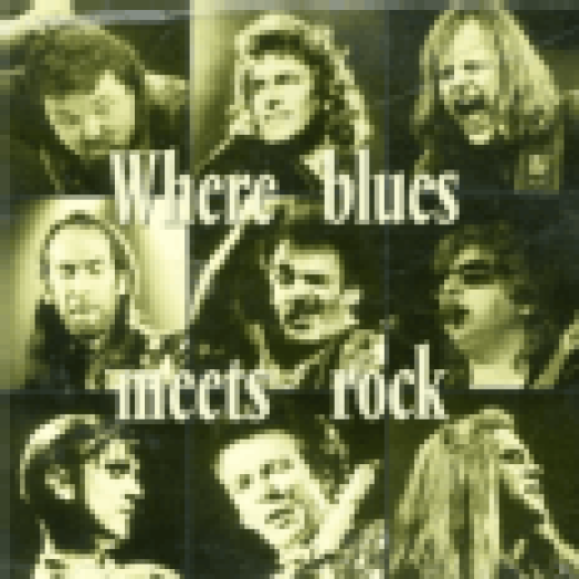Where Blues Meets Rock CD