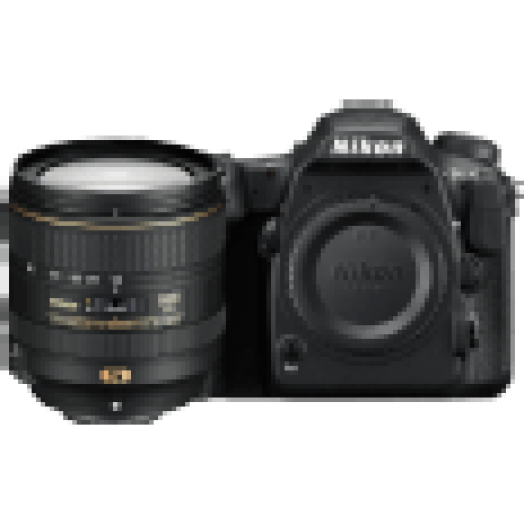 D500 + 16-80 AF-S DX Kit
