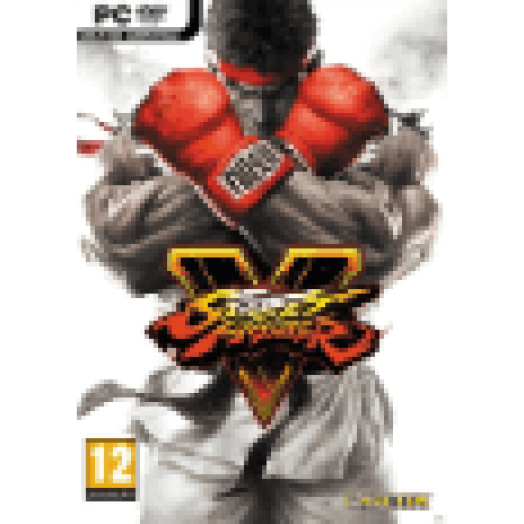 Street Fighter V (PC)