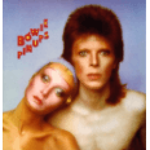 Pin Ups LP
