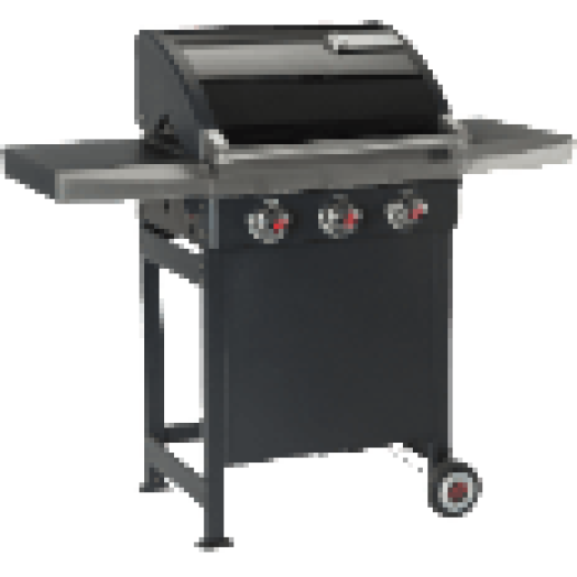12229 REXON 3.0 gázgrillkocsi
