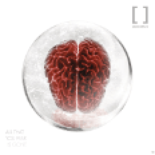 All That You Fear Is Gone (Special Edition) CD