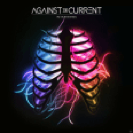 In Our Bones CD
