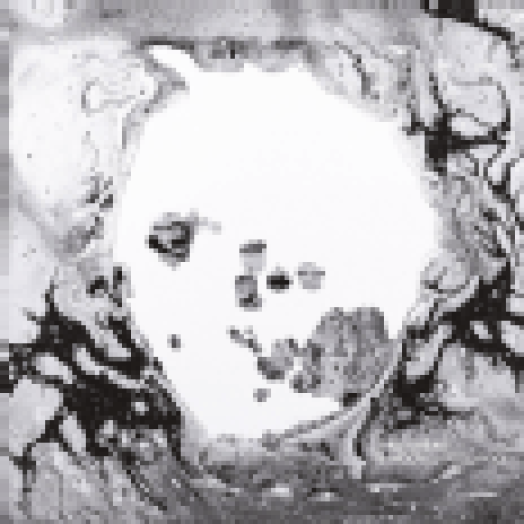 A Moon Shaped Pool LP