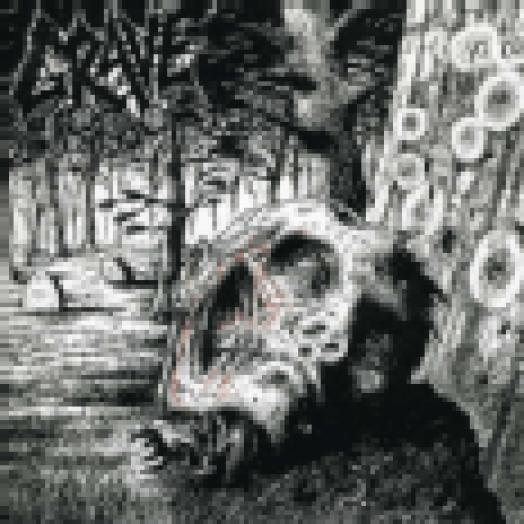 Necropsy - Complete Demo Recordings 1986-1991 CD