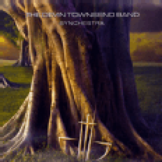 Synchestra CD